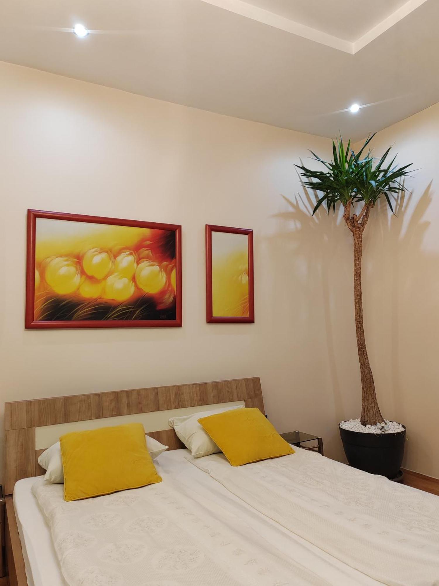 Dr Apartment Novi Sad Exterior foto